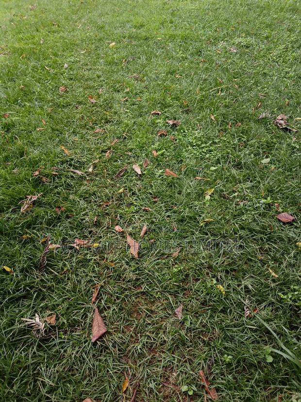Thika Green Plots For Sale - thumbnail 3