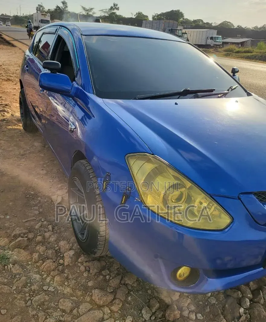 Toyota Caldina 2004 Blue