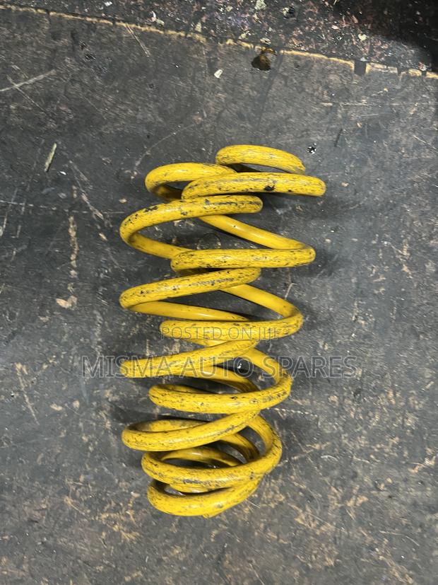 Heavy Duty Coil Springs - thumbnail 3