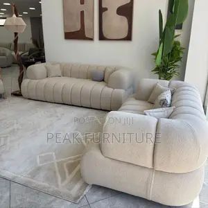 Elegant Living Room Couch