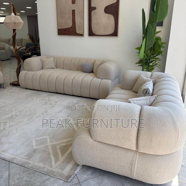 Elegant Living Room Couch
