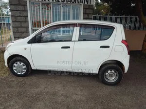 Suzuki Alto 2013 White