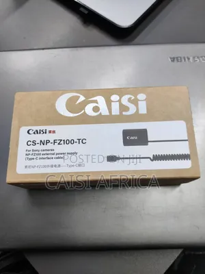 Casi Cs-Np-Fz100-Tc Type-C Dummy Battery