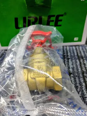 Gate Valve 1/2" Lirlee