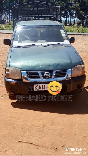 Nissan Hardbody 2005 Green