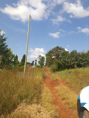 Joy Garden Kenol on Your Way to Milimani Estate