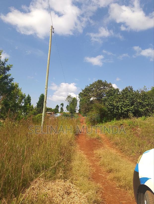 Joy Garden Kenol on Your Way to Milimani Estate
