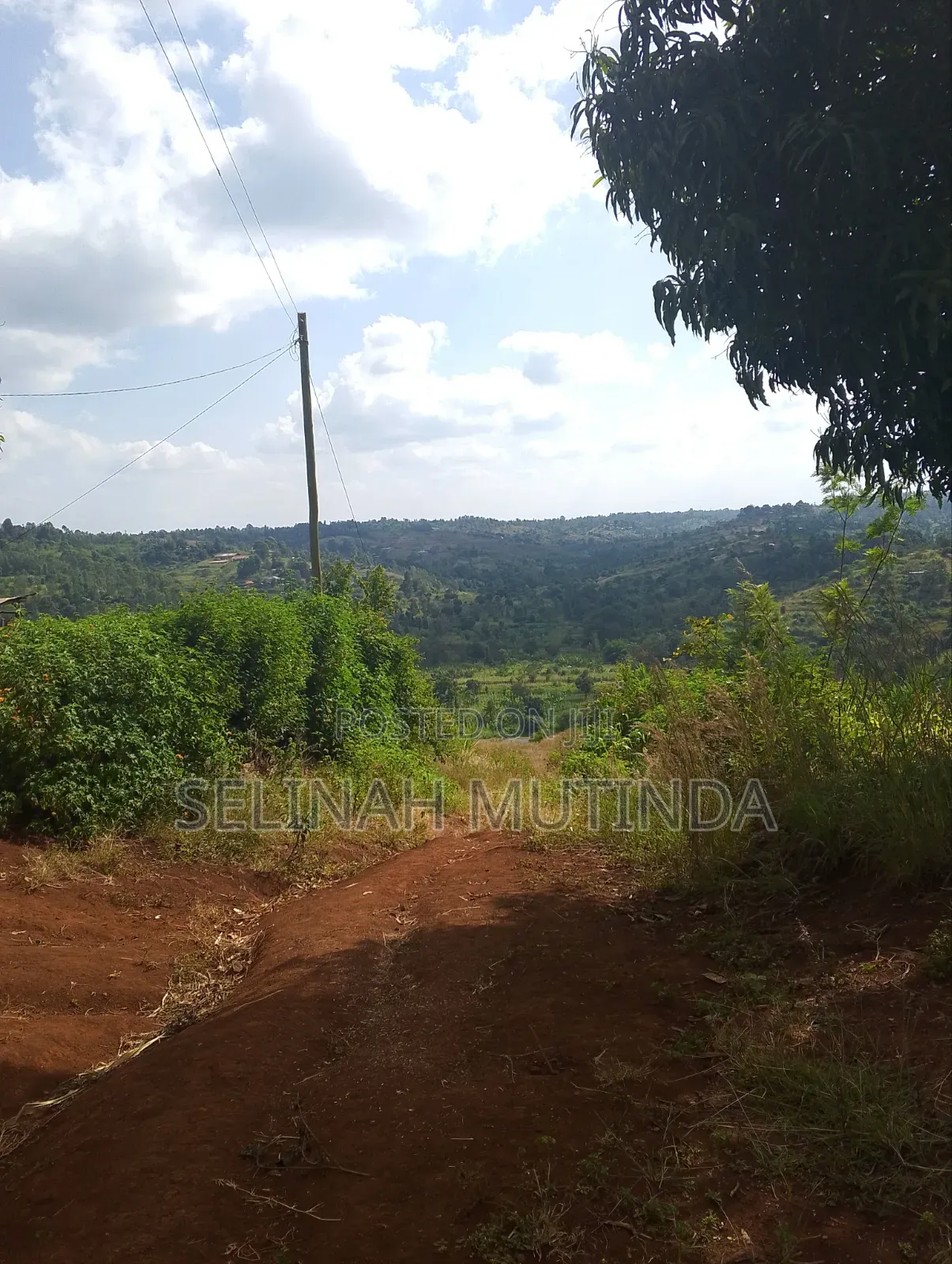 Joy Garden Kenol on Your Way to Milimani Estate