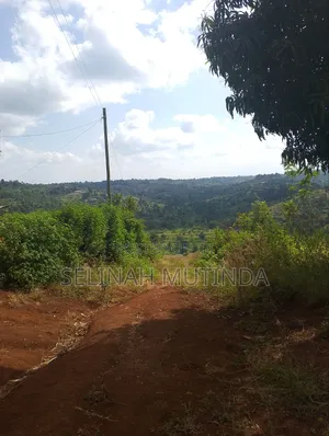 Joy Garden Kenol on Your Way to Milimani Estate