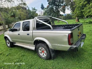 Nissan Hardbody 2007 Gold