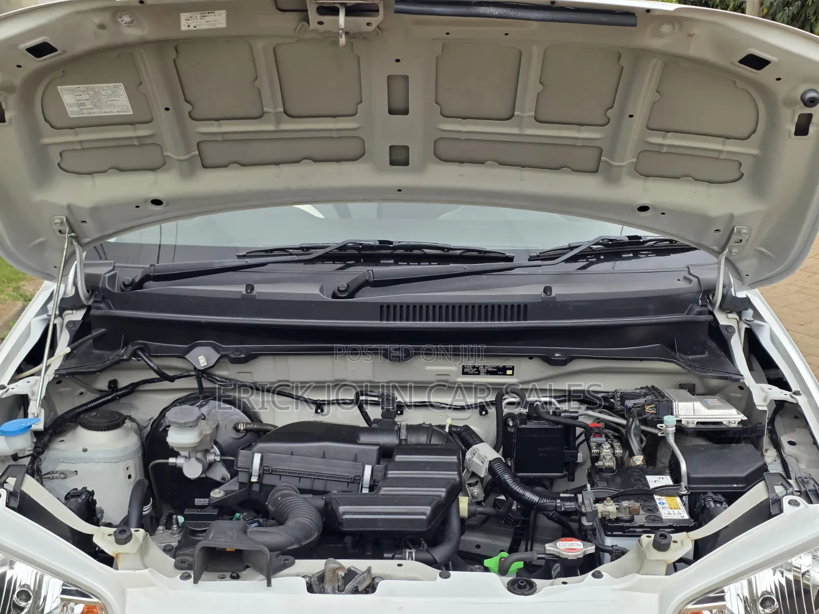 Suzuki Alto 2019 White