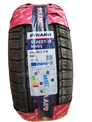 Dynamo 225/55r17