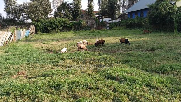 Prime 100 by 100 Plot in Ruiru BTL - thumbnail 2