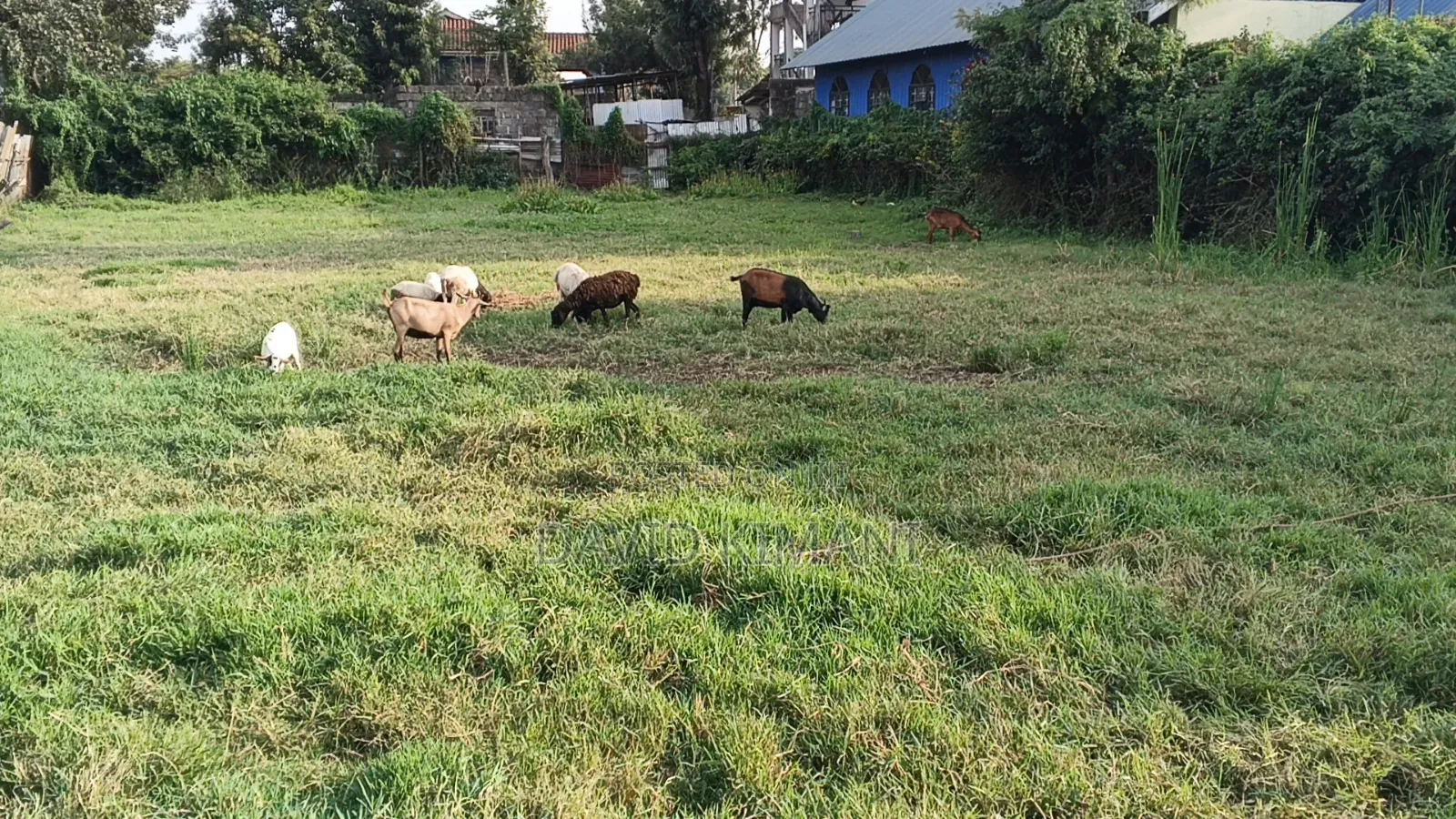 Prime 100 by 100 Plot in Ruiru BTL