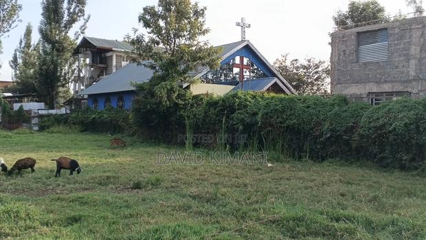 Prime 100 by 100 Plot in Ruiru BTL - thumbnail 6
