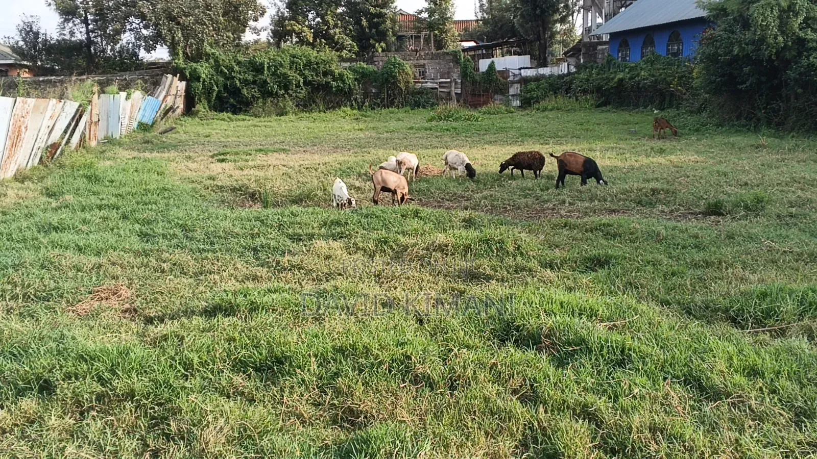 Prime 100 by 100 Plot in Ruiru BTL