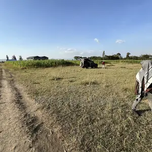 50x100 Plot for Sale in Mutaita