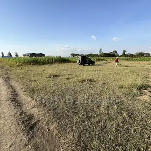 50x100 Plot for Sale in Mutaita