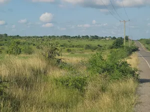 Land for Sale in Malindi Kakoneni