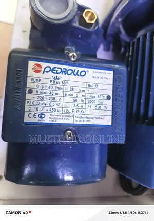 Pedrollo Water Pump