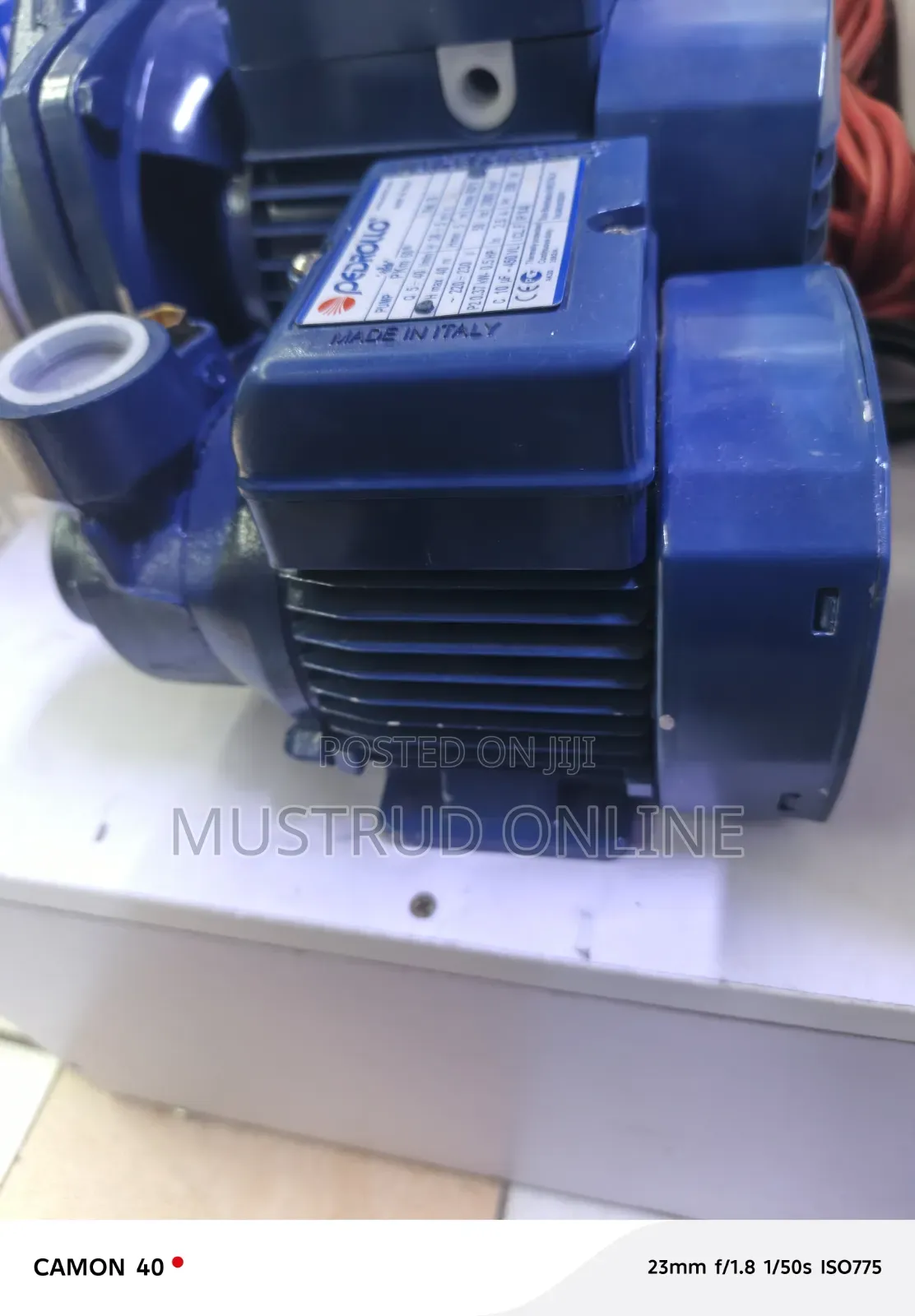 Pedrollo Water Pump