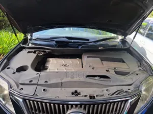 Lexus RX 2009 Black