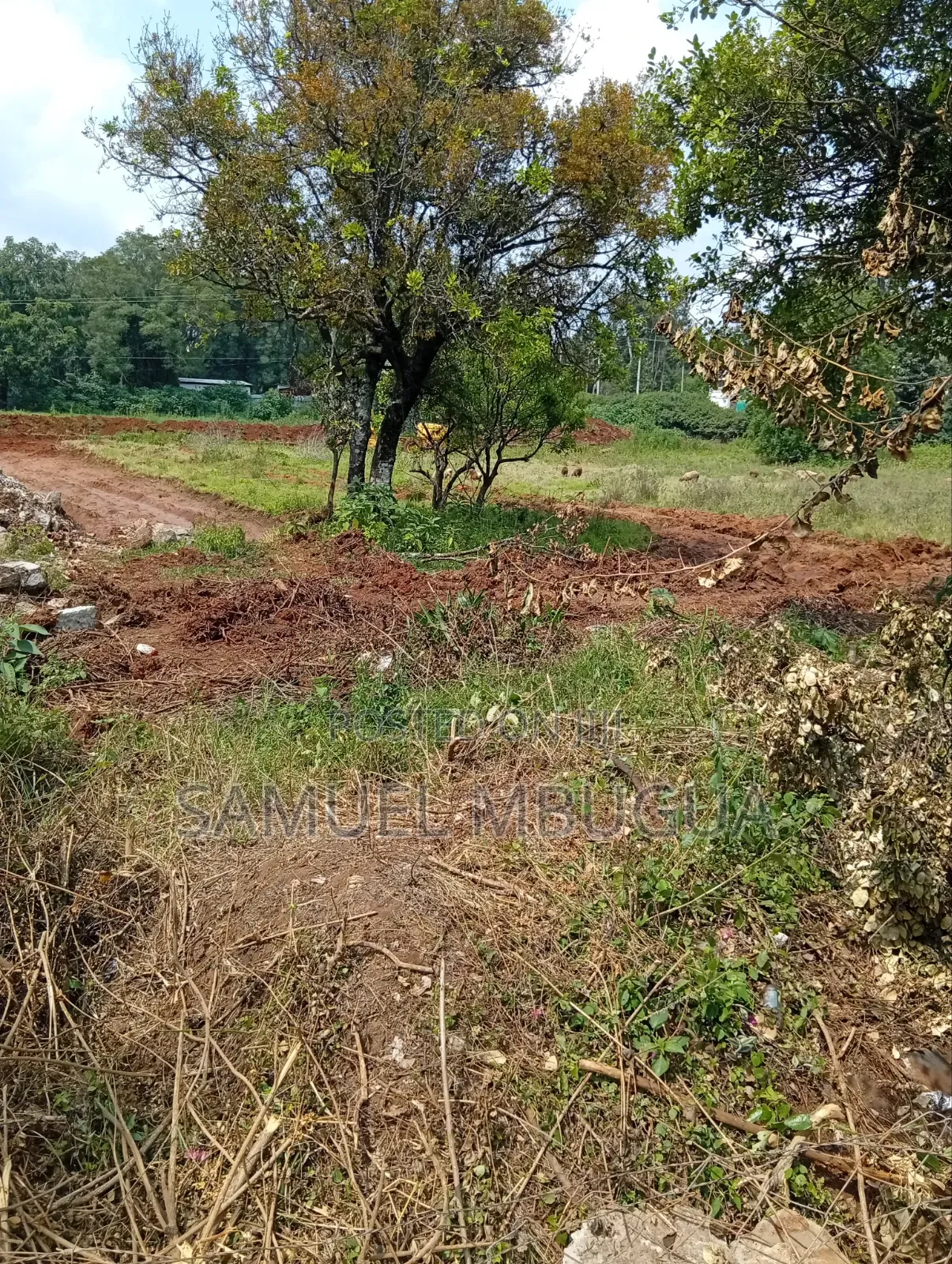 Half Acre Plots in Karen