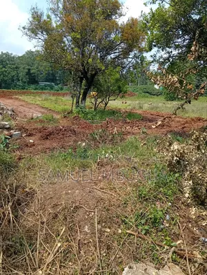 Half Acre Plots in Karen