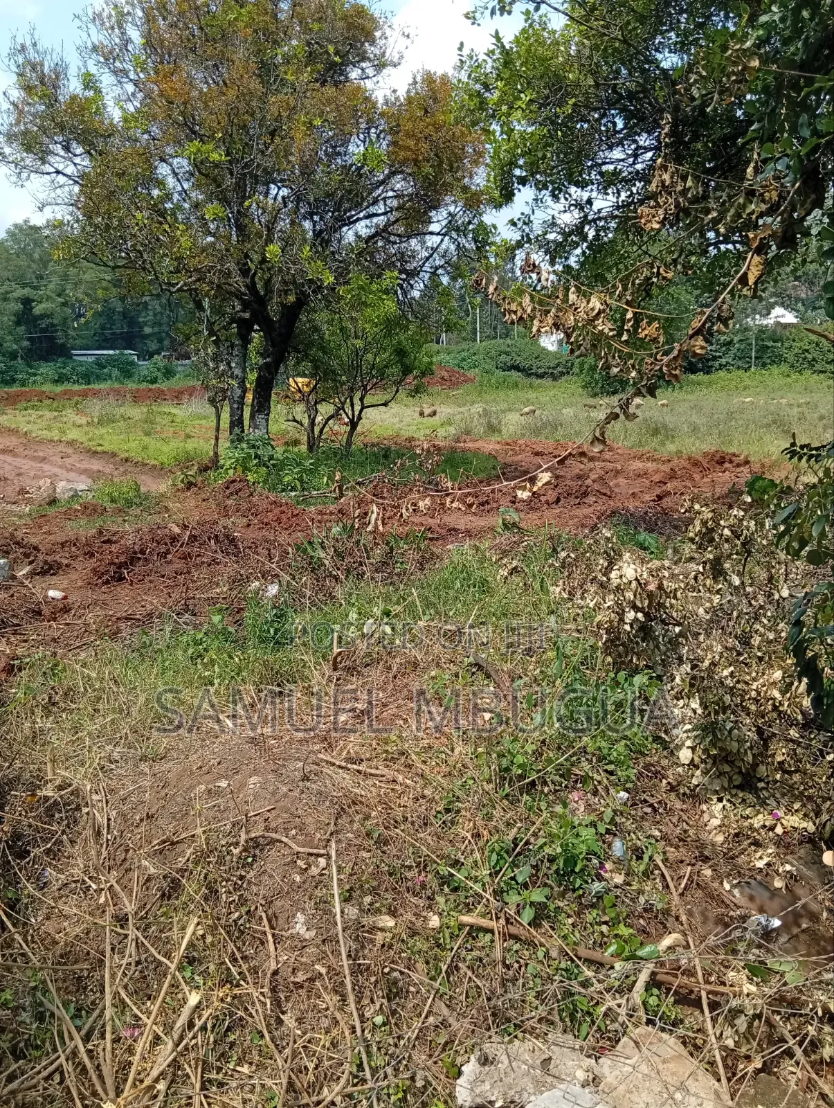 Half Acre Plots in Karen