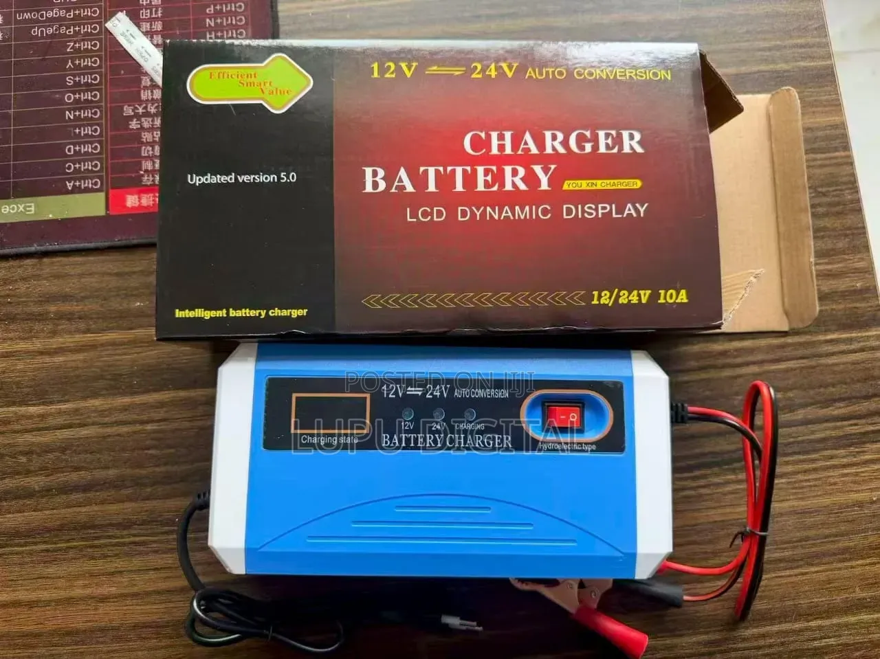 12/24a V10a Battery Charger