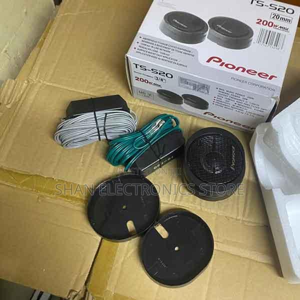 Powerful Performance Ts-S20 High Output Tweeter – 200 Watts
