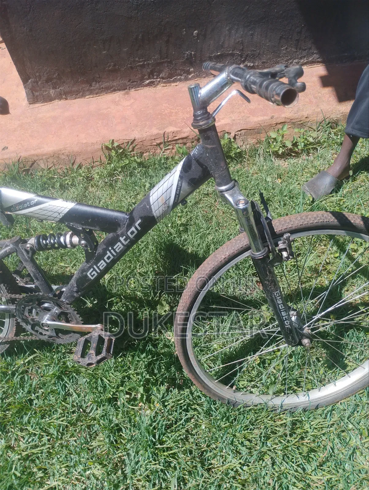 Gladiator Bike