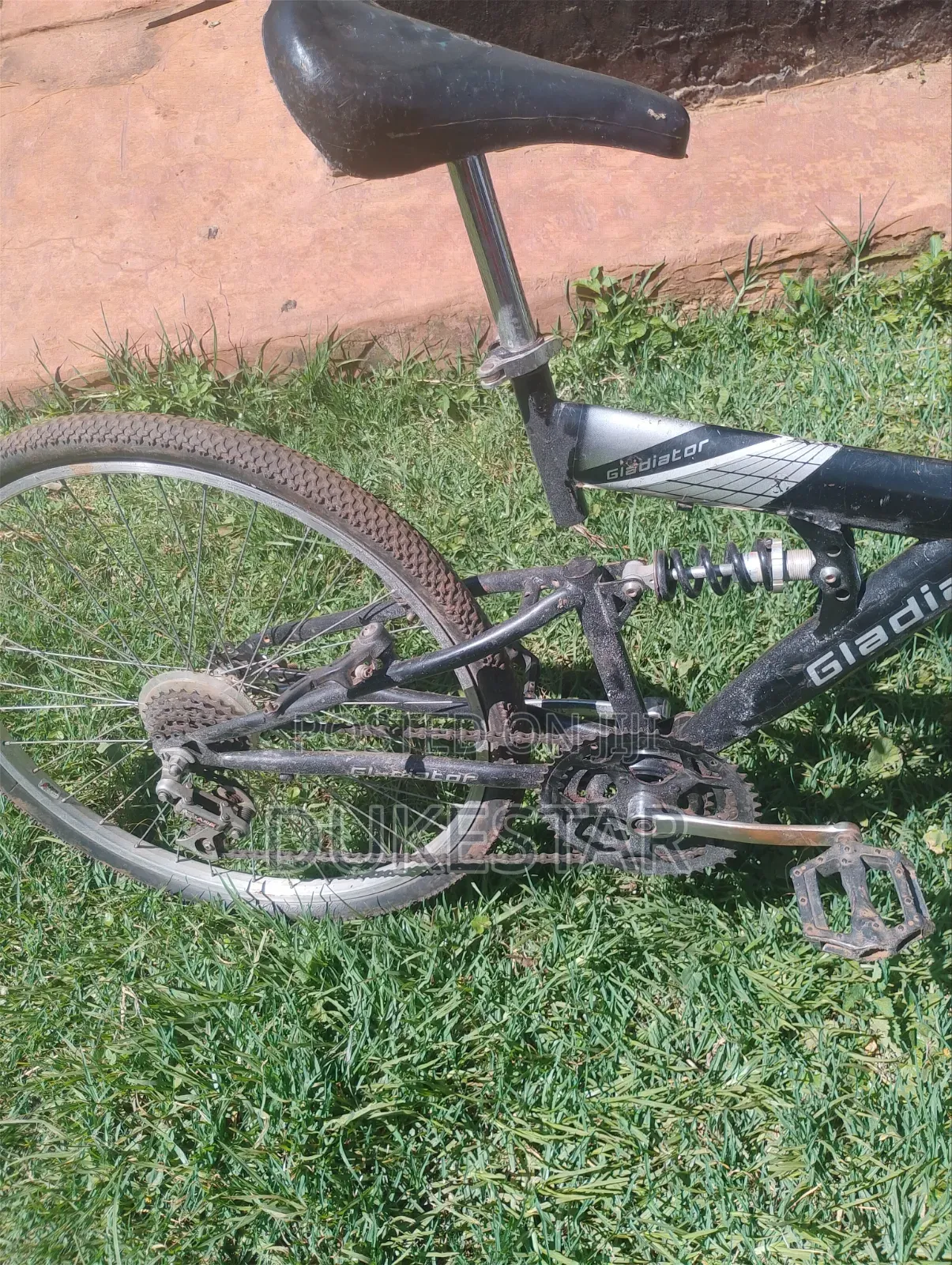 Gladiator Bike