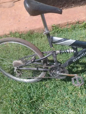 Gladiator Bike