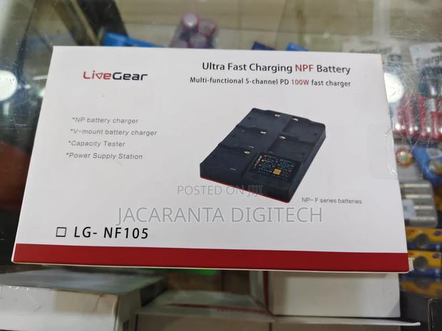 Livegear 5 Channel F970 Charger - main view