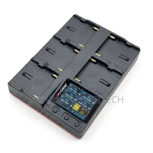 Livegear 5 Channel F970 Charger