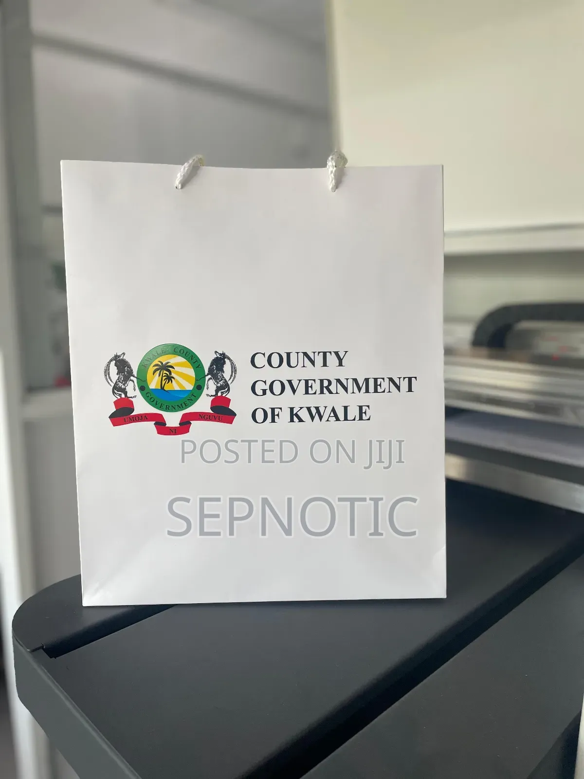 Gift Bags Printing