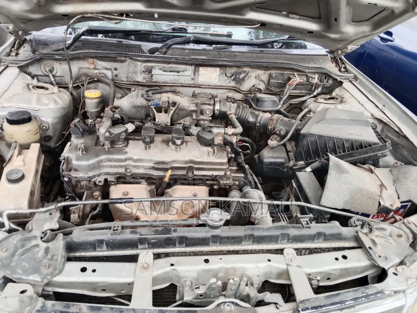 Nissan Sunny 2006 Silver