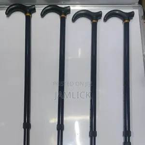 Kids Walking Sticks –Kb