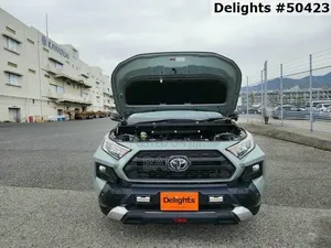 Toyota RAV4 2019 Gray