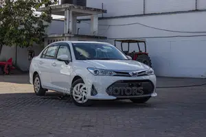 Toyota Axio 1.5 G 2WD 2019 White