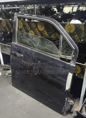 Door Suzuki Wagon R