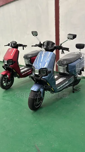 KBF-55 Electric Scooter