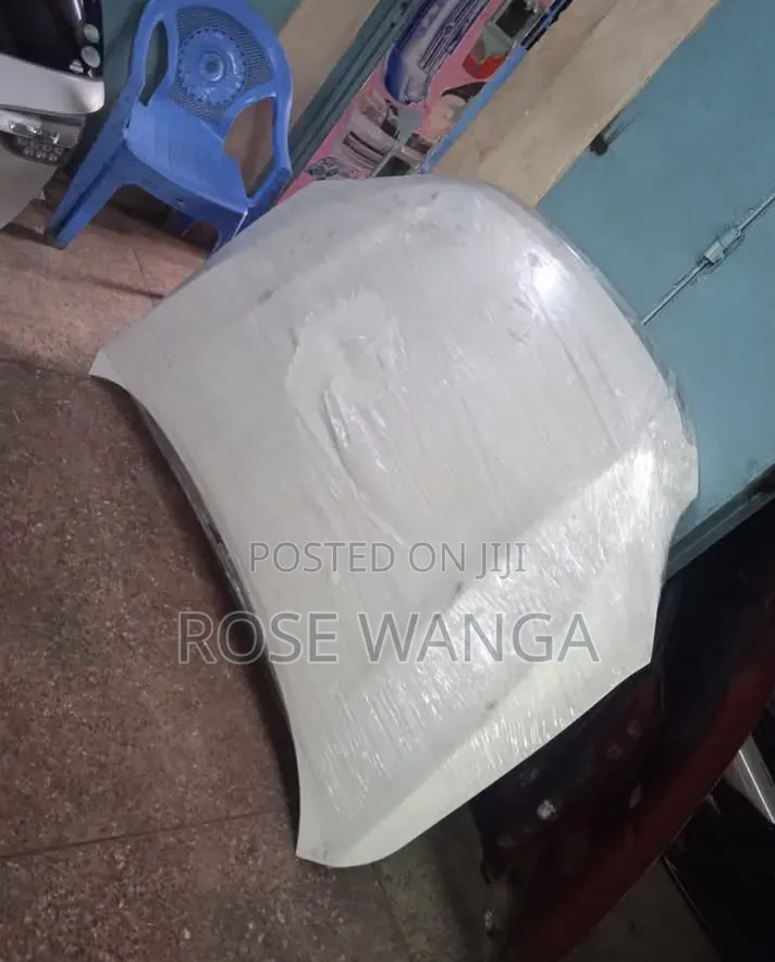 Vanguard Bonnet