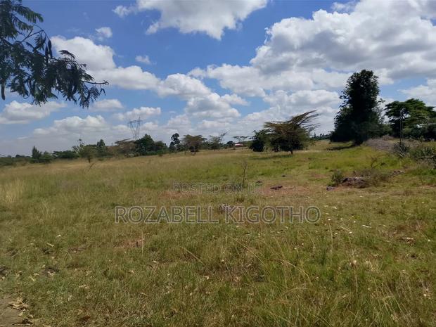 Land for Sale - thumbnail 2