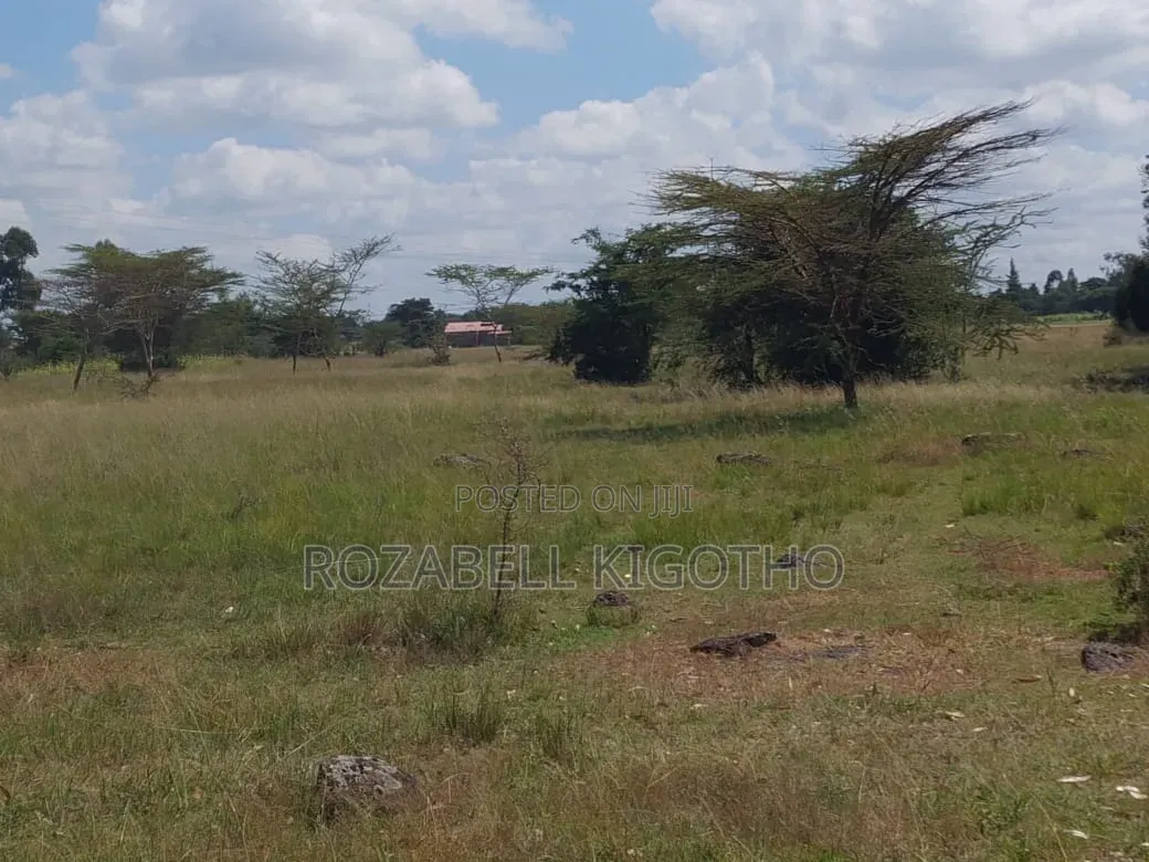 Land for Sale