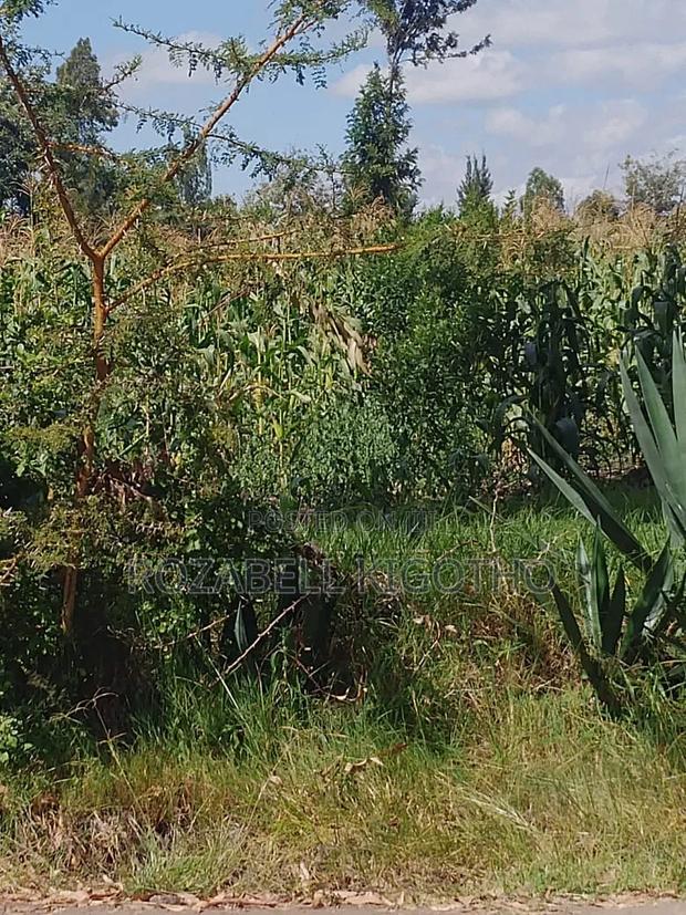 Land for Sale - thumbnail 4