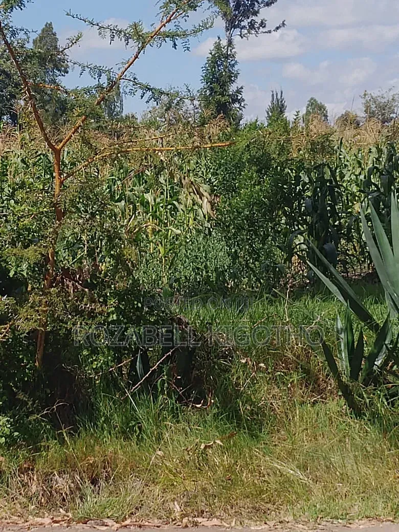 Land for Sale