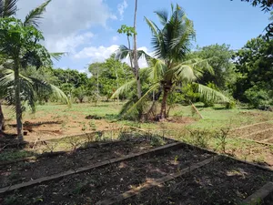 Rare 1/4 Acre Serviced Plot Near Diani Beach