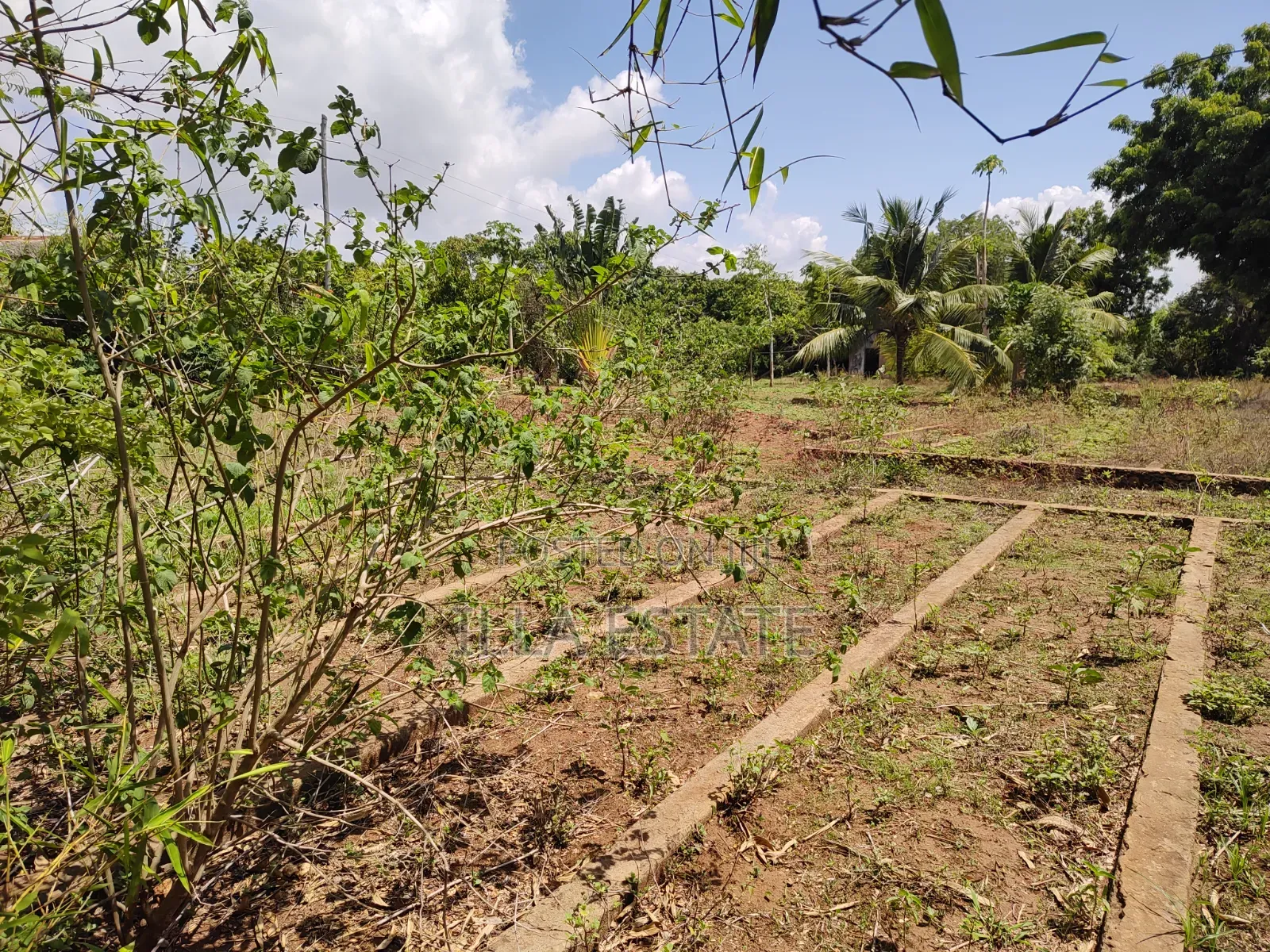 Rare 1/4 Acre Serviced Plot Near Diani Beach